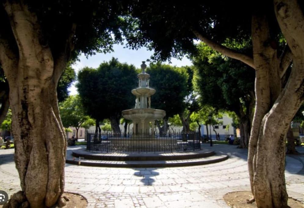 4 La Laguna, Centrico Y Acogedor La Laguna  Exteriér fotografie
